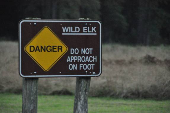 Apenas depois de tirar as fotos dos elks, a Ana viu essa placa no Redwood National Park, no norte da Califórnia, nos Estados Unidos